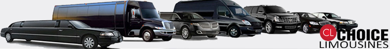 Lake Conroe Limousine, Lake Conroe Limo, Montgomery TX